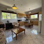 Casa Psarou 1 Apartment